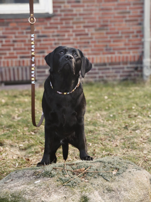 Frühlingshalsband "Fanny"