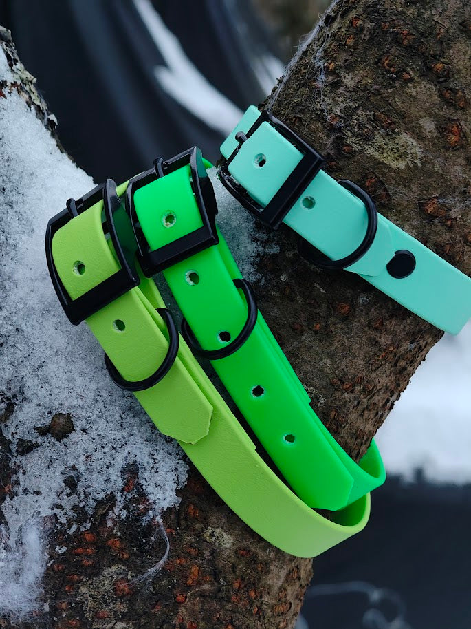 Dornenschnallenhalsband "Kora"
