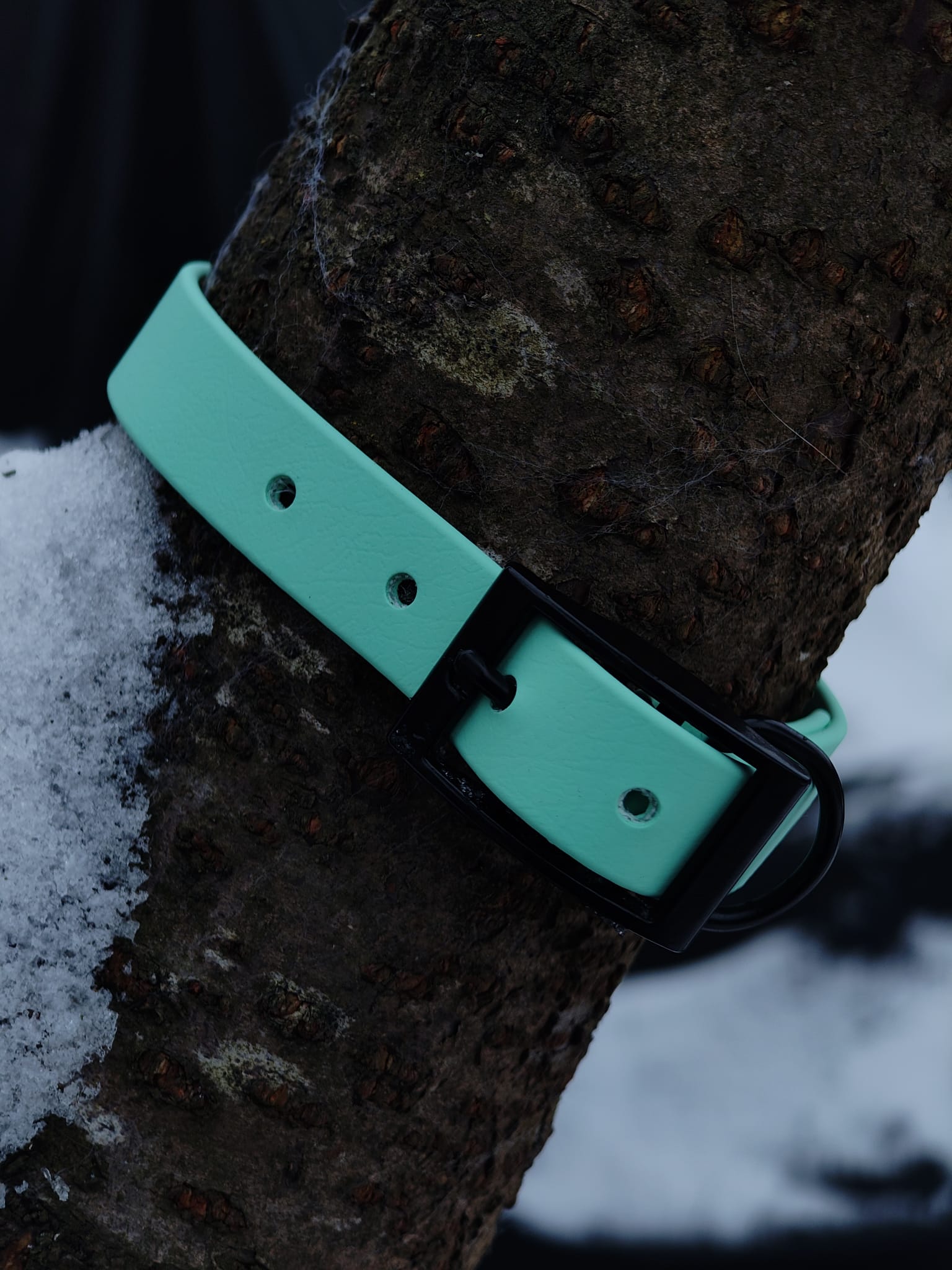 Dornenschnallenhalsband "Kora"
