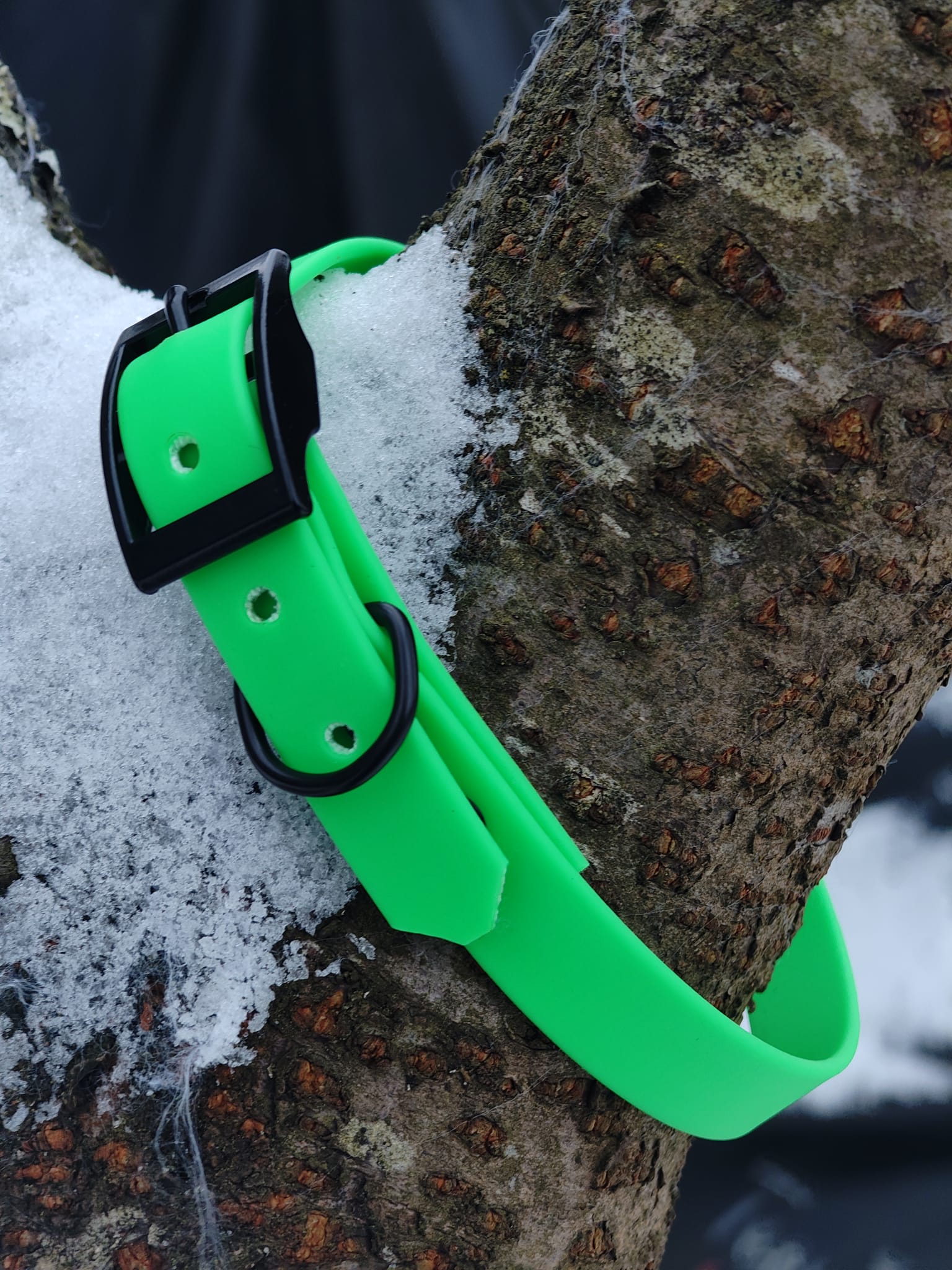 Dornenschnallenhalsband "Kora"