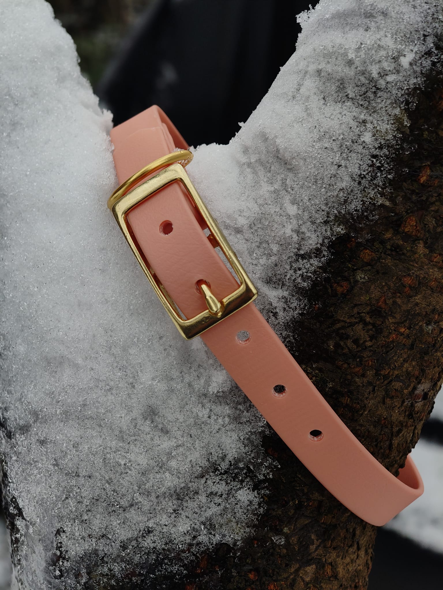 Dornenschnallenhalsband "Kora"