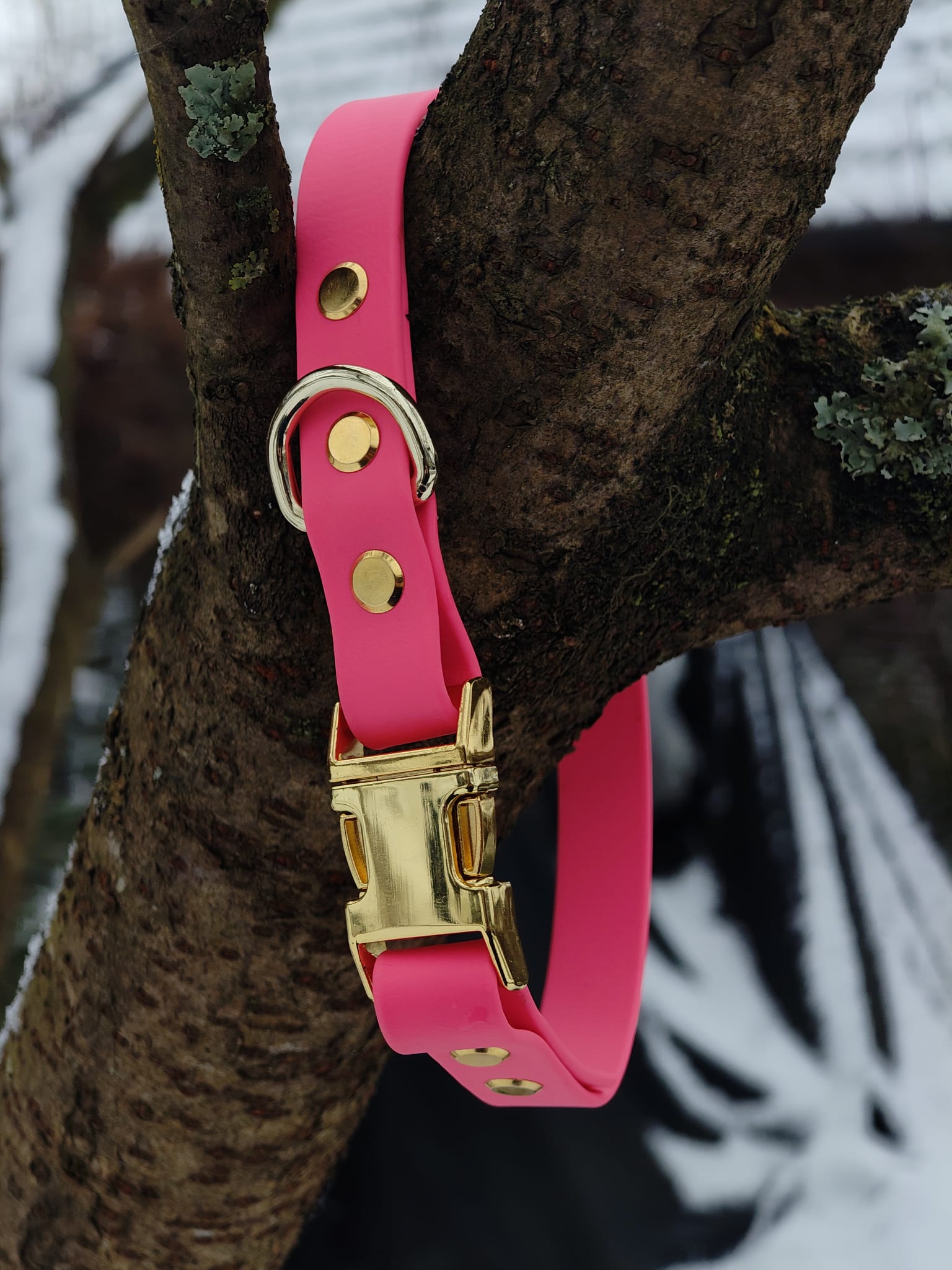 Clickhalsband "Sam"